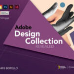 Adobe Design Collection Revealed, 2nd Student Edition