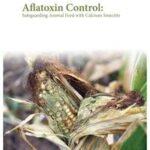 Aflatoxin Control