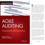 Agile Auditing