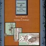 Anatomy and Dissection of the Fetal Pig