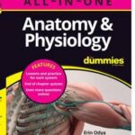 Anatomy & Physiology All-in-One For Dummies (+ Chapter Quizzes Online)