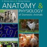 Anatomy and Physiology of Domestic Animals