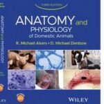 Anatomy and Physiology of Domestic Animals
