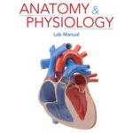 Anatomy & Physiology Lab Manual