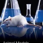 Animal Models