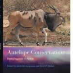 Antelope Conservation