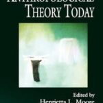 Anthropological Theory Today
