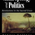 Anthropology and Politics