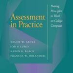 Assessment in Practice