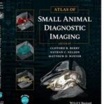 Atlas of Small Animal Diagnostic Imaging