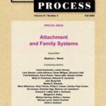 Attachment and Family Systems