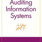 Auditing Information Systems