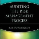 Auditing the Risk Management Process