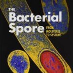 The Bacterial Spore