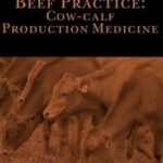 Beef Practice