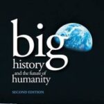 Big History and the Future of Humanity