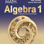 Big Ideas Math Common Core Algebra 1
