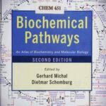 Biochemical Pathways