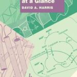 Bioenergetics at a Glance