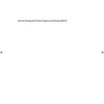 Biomass Energy with Carbon Capture and Storage (BECCS)