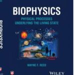 Biophysics