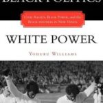 Black Politics / White Power