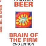 Brain of the Firm