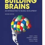 Building Brains