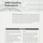 Building Your Endowment