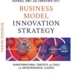 Business Model Innovation Strategy