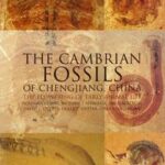 The Cambrian Fossils of Chengjiang, China