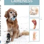 Canine Lameness