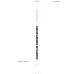 Career Anchors Reimagined