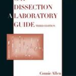 Cat Dissection