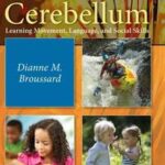 The Cerebellum