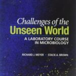 Challenges of the Unseen World