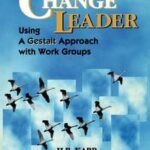 The Change Leader