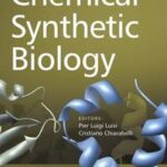 Chemical Synthetic Biology