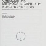Chemometric Methods in Capillary Electrophoresis