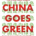 China Goes Green