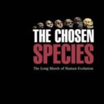 The Chosen Species