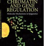 Chromatin and Gene Regulation