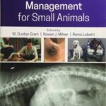 Chronic Disease Management for Small Animals