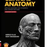 Clinical Anatomy