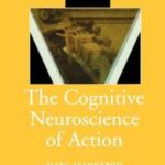 The Cognitive Neuroscience of Action