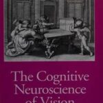 The Cognitive Neuroscience of Vision