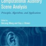 Computational Auditory Scene Analysis