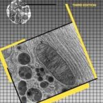 Concepts in Biochemistry