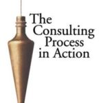 The Consulting Process in Action