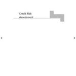 Credit Risk Assessment